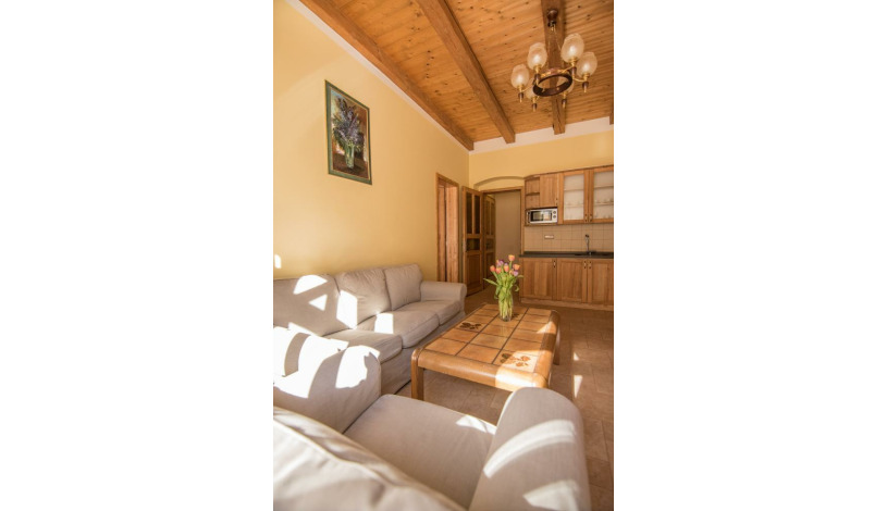 Apartments Victoria Karlovy Vary